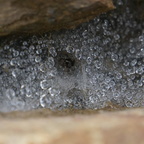 DSC03284