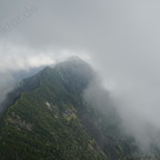 DSC03740 (2)