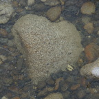 DSC07320