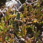 DSC09943